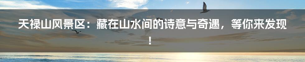 天禄山风景区:藏在山水间的诗意与奇遇,等你来发现!