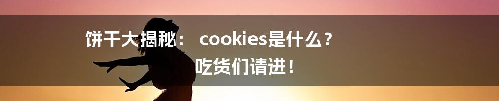 饼干大揭秘： cookies是什么？ 吃货们请进！