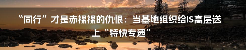 “同行”才是赤裸裸的仇恨:当基地组织给IS高层送上“特快专递”