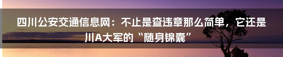 四川公安交通信息网:不止是查违章那么简单,它还是川A大军的“随身锦囊”