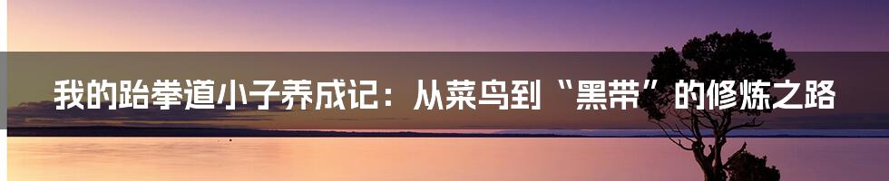 我的跆拳道小子养成记:从菜鸟到“黑带”的修炼之路