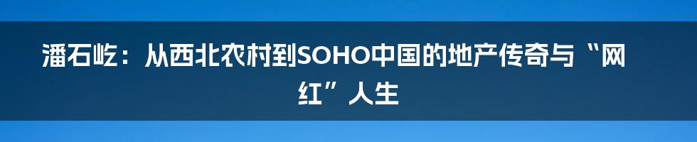 潘石屹:从西北农村到SOHO中国的地产传奇与“网红”人生
