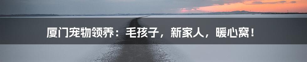 厦门宠物领养：毛孩子，新家人，暖心窝！
