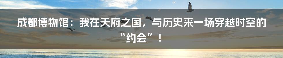 成都博物馆:我在天府之国,与历史来一场穿越时空的“约会”!