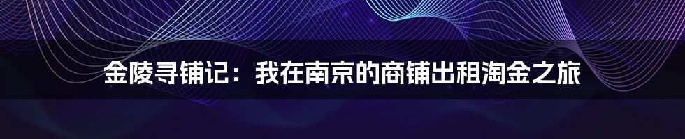 金陵寻铺记:我在南京的商铺出租淘金之旅