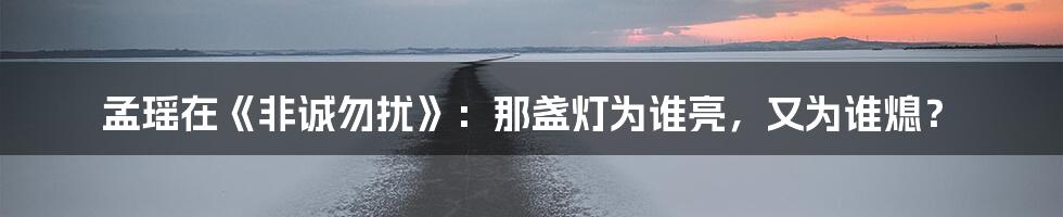 孟瑶在《非诚勿扰》:那盏灯为谁亮,又为谁熄?