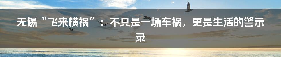 无锡“飞来横祸”:不只是一场车祸,更是生活的警示录