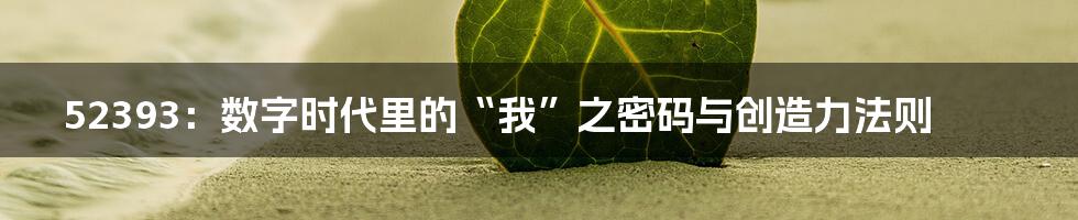 52393:数字时代里的“我”之密码与创造力法则
