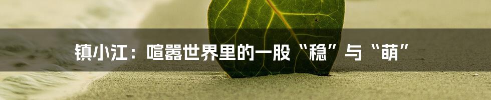 镇小江:喧嚣世界里的一股“稳”与“萌”