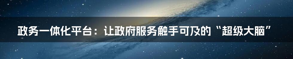 政务一体化平台:让政府服务触手可及的“超级大脑”