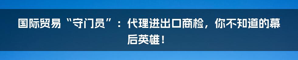 国际贸易“守门员”:代理进出口商检,你不知道的幕后英雄!