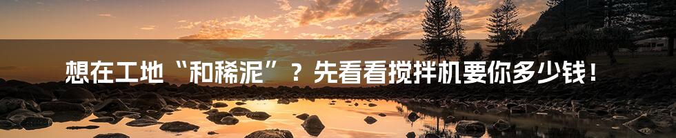 想在工地“和稀泥”？先看看搅拌机要你多少钱！