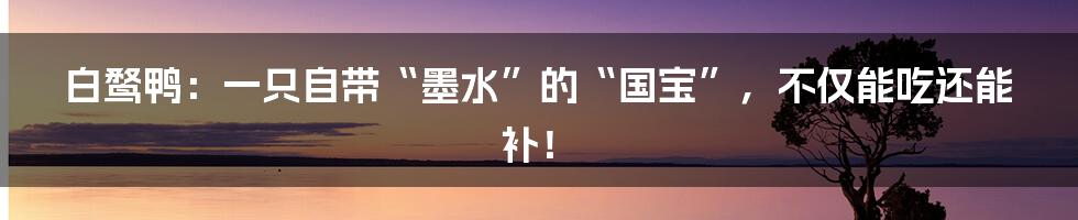 白鹜鸭:一只自带“墨水”的“国宝”,不仅能吃还能补!