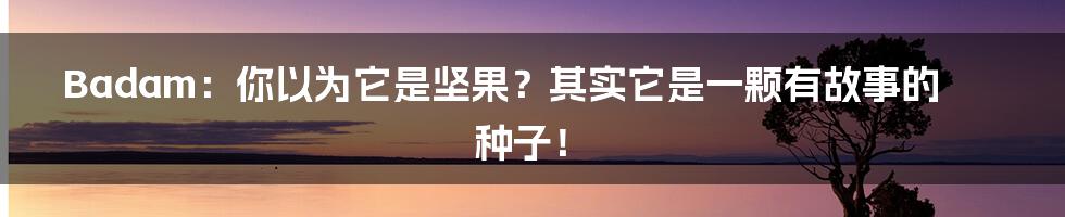 Badam:你以为它是坚果?其实它是一颗有故事的种子!
