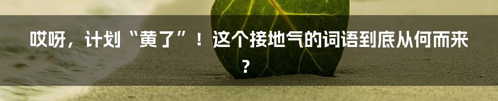 哎呀,计划“黄了”!这个接地气的词语到底从何而来?