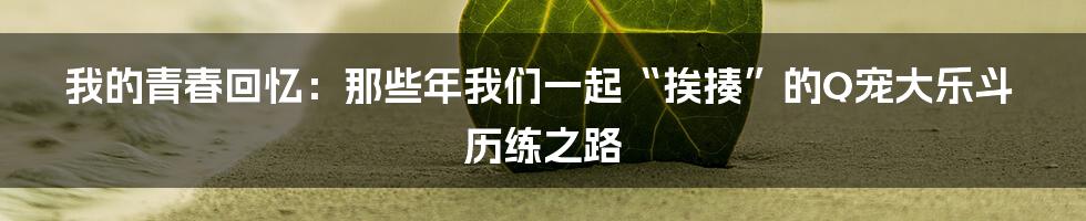 我的青春回忆:那些年我们一起“挨揍”的Q宠大乐斗历练之路