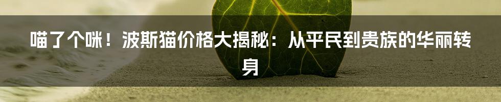 喵了个咪!波斯猫价格大揭秘:从平民到贵族的华丽转身