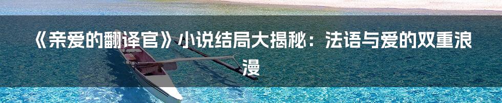 《亲爱的翻译官》小说结局大揭秘:法语与爱的双重浪漫