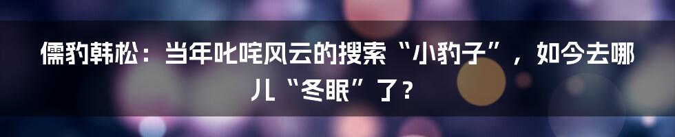 儒豹韩松:当年叱咤风云的搜索“小豹子”,如今去哪儿“冬眠”了?