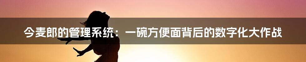 今麦郎的管理系统:一碗方便面背后的数字化大作战