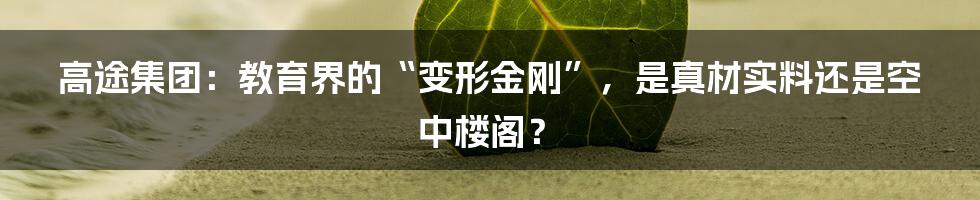 高途集团:教育界的“变形金刚”,是真材实料还是空中楼阁?