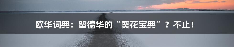 欧华词典：留德华的“葵花宝典”？不止！