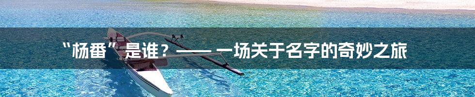“杨番”是谁?—— 一场关于名字的奇妙之旅