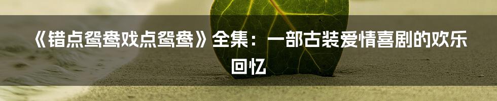 《错点鸳鸯戏点鸳鸯》全集：一部古装爱情喜剧的欢乐回忆