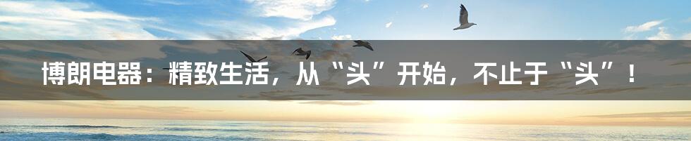 博朗电器:精致生活,从“头”开始,不止于“头”!
