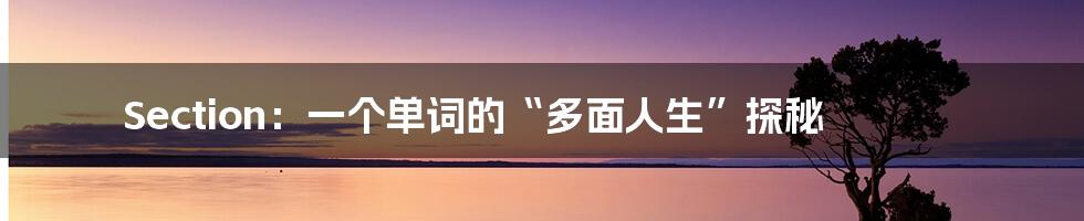 Section:一个单词的“多面人生”探秘