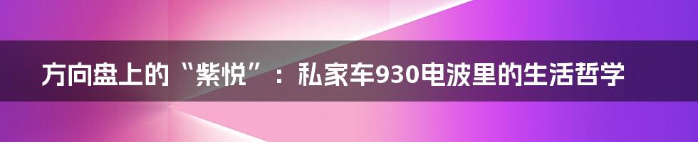 方向盘上的“紫悦”:私家车930电波里的生活哲学