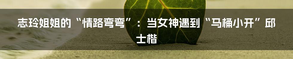 志玲姐姐的“情路弯弯”:当女神遇到“马桶小开”邱士楷