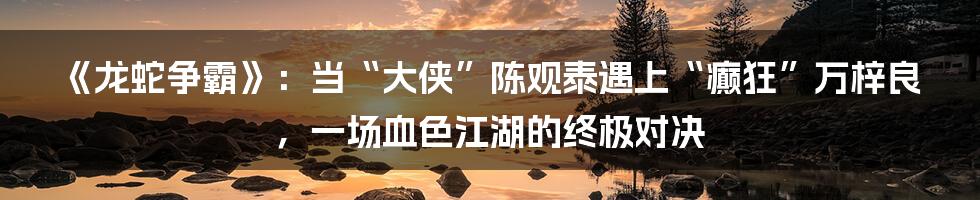 《龙蛇争霸》:当“大侠”陈观泰遇上“癫狂”万梓良,一场血色江湖的终极对决