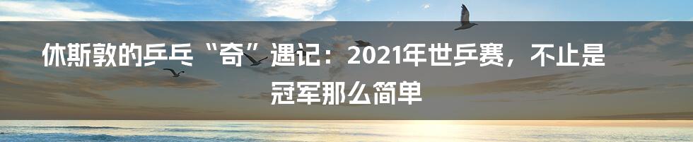 休斯敦的乒乓“奇”遇记:2021年世乒赛,不止是冠军那么简单