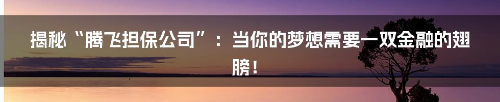 揭秘“腾飞担保公司”:当你的梦想需要一双金融的翅膀!