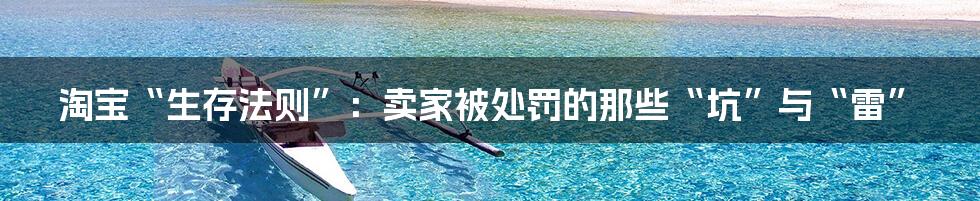 淘宝“生存法则”:卖家被处罚的那些“坑”与“雷”