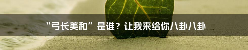 “弓长美和”是谁?让我来给你八卦八卦