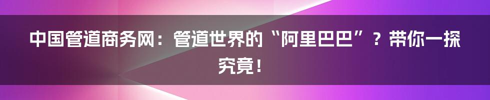 中国管道商务网:管道世界的“阿里巴巴”?带你一探究竟!