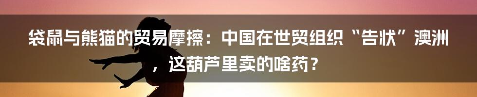 袋鼠与熊猫的贸易摩擦:中国在世贸组织“告状”澳洲,这葫芦里卖的啥药?