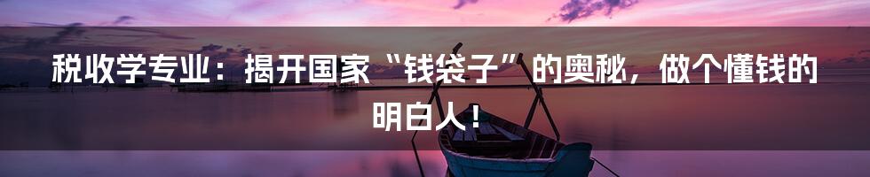 税收学专业:揭开国家“钱袋子”的奥秘,做个懂钱的明白人!