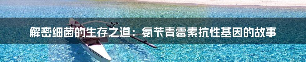 解密细菌的生存之道:氨苄青霉素抗性基因的故事