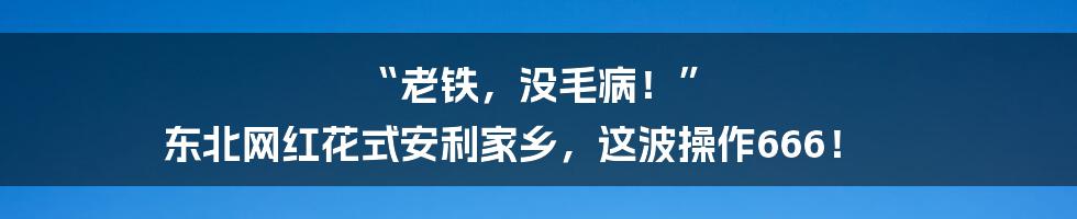“老铁，没毛病！” 东北网红花式安利家乡，这波操作666！