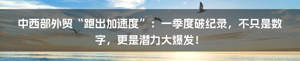 中西部外贸“跑出加速度”:一季度破纪录,不只是数字,更是潜力大爆发!