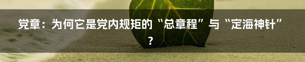 党章:为何它是党内规矩的“总章程”与“定海神针”?
