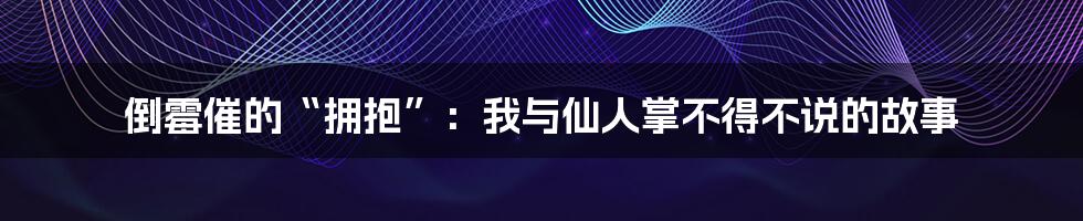 倒霉催的“拥抱”:我与仙人掌不得不说的故事