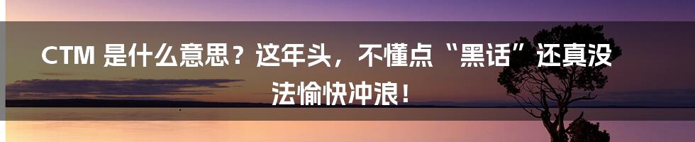 CTM 是什么意思?这年头,不懂点“黑话”还真没法愉快冲浪!