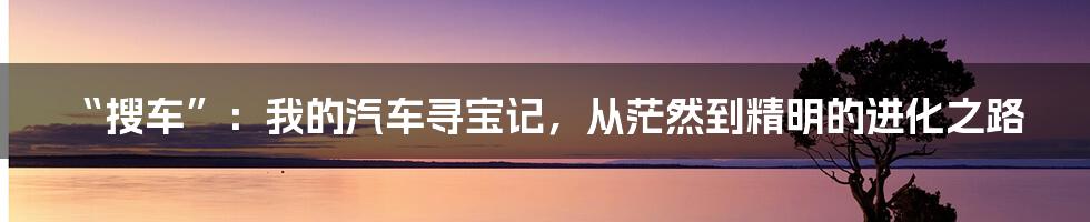 “搜车”:我的汽车寻宝记,从茫然到精明的进化之路