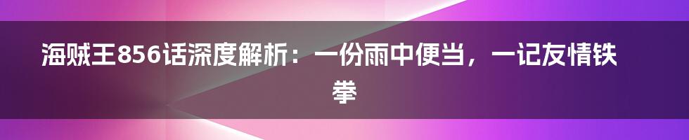海贼王856话深度解析:一份雨中便当,一记友情铁拳