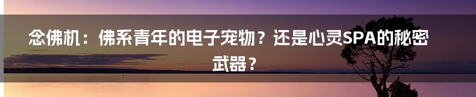 念佛机：佛系青年的电子宠物？还是心灵SPA的秘密武器？