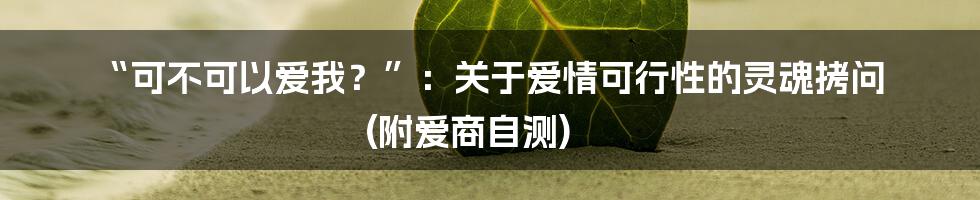 “可不可以爱我?”:关于爱情可行性的灵魂拷问 (附爱商自测)
